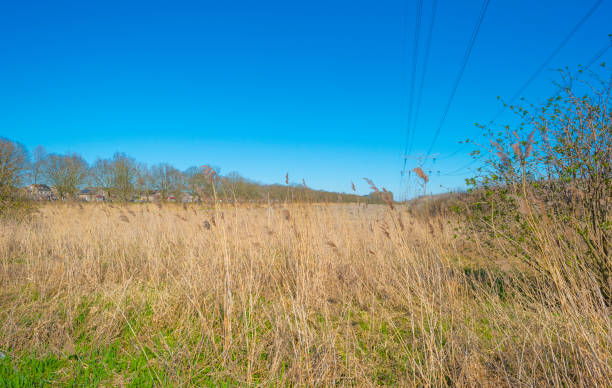 istock Transmission tower over an agricultural field below a blue sky in spring 1214288947