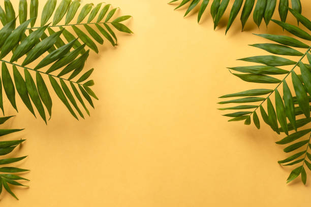 istock tropical palm leaves frame on a yellow background. 1214290815