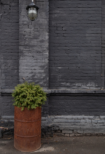 outdoor street black brick wall with lantern and metallic rusty barrel with flowers. loft style landscape design