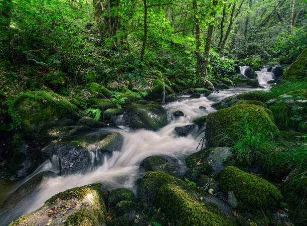 istock Rushing Water stumble across Nossy Stones 1214293182