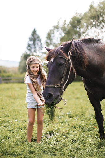 A cute girl in stylish casual clothes and hair accessories feeding her horse with green grass, in the field on a sunny summer day.
