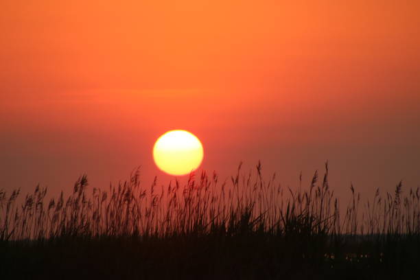 istock Orange Sunset at Mattamuskeet 1214299364
