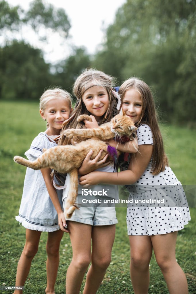 Three Little Girls Sisters Playing And Petting Red Cat Domestic Animal In  Family With Kids Children With Home Pet Animals Country Life And Holidays  Concept Stock Photo - Download Image Now - iStock