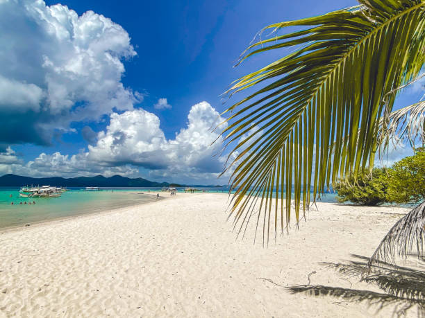 istock Ditaytayan island in Coron, Palawan, Philippines 1214301875