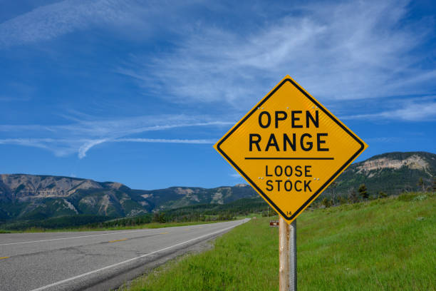 istock Open Range Sign Warns of Loose Livestock on Road 1214302021