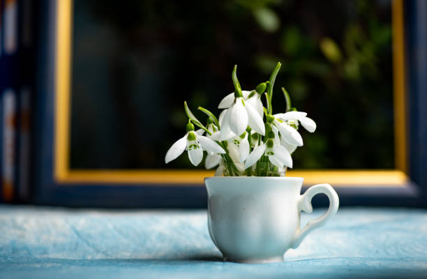 Snowdrops in a glass cup by the bright window