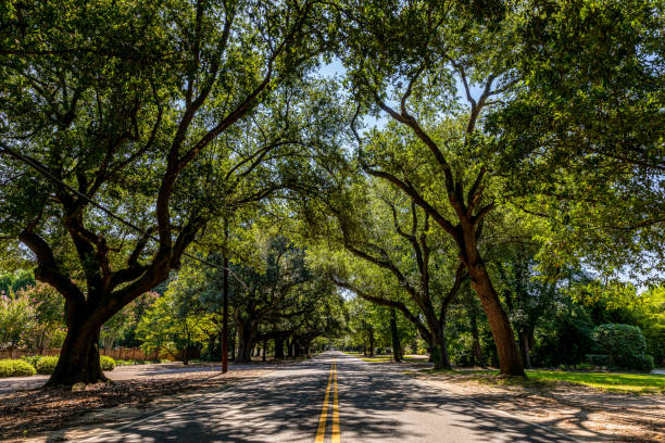 South Boundary Street - Aiken