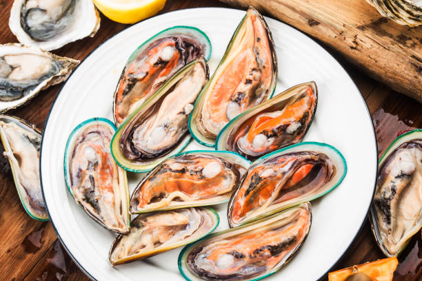 istock Assorted fresh shellfish-Green Mussels, Oysters, Scallops 1214304014