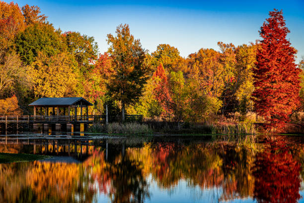 Brick Pond Park in the Fall - North Augusta stock photo