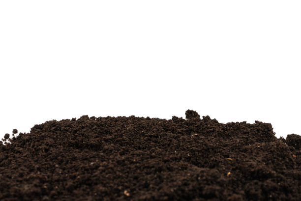 istock A handful of earth isolated on white background. 1214304747