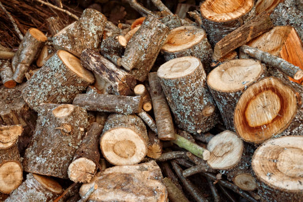 istock Close up of oak firewood logs 1214306832