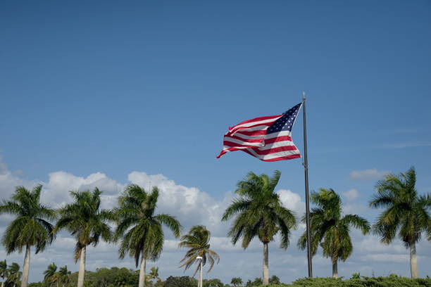 The American flag flies in a stiff breeze over a row of royal palms against a blue sky