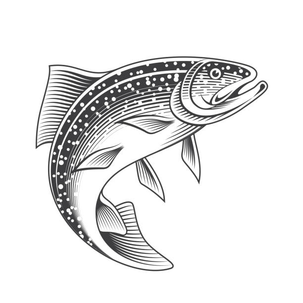 Salmon Mascot stock illustration Salmon Mascot stock illustration trout illustrations stock illustrations