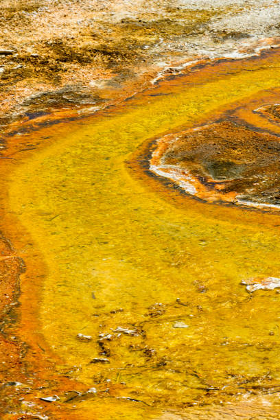 istock River of Sulfur Flowing from Hot Spring 1214311177