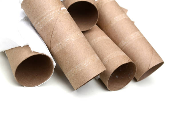istock closeup of empty toilet rolls on white background 1214313066