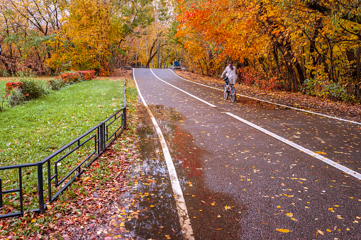 Unrecognizable girl cyclist in autumn park, bike paths, lines, bright colorful trees, sunny day, fall foliage background. Healthy lifestyle, leisure activity