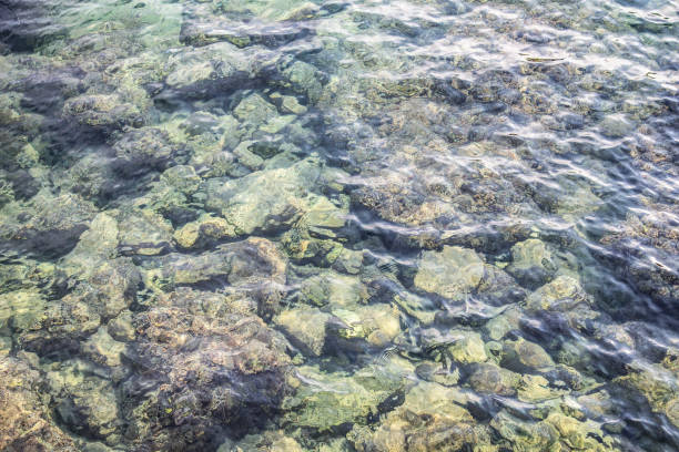 istock Beautiful shining pebbles under clear green water 1214315362