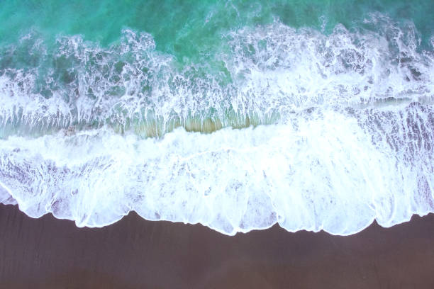 istock Beach top view from drone or aerial view with shade emerald blue water and wave foam 1214315589