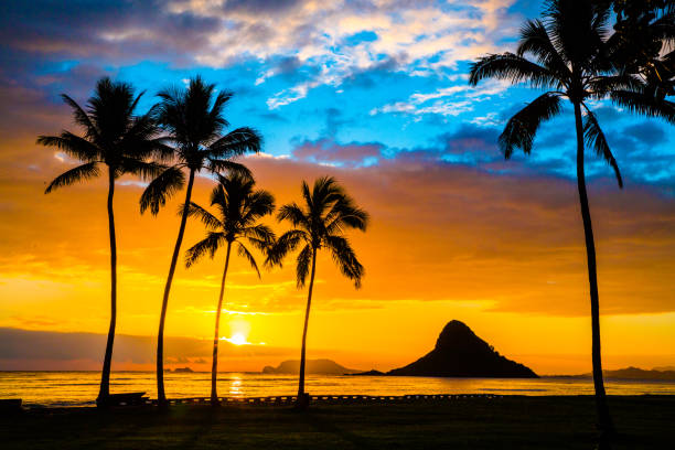 Beautiful sunrise at Mokoli’i on Oahu