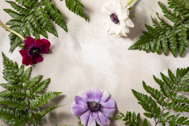 istock Flower flat lay for decorative design on natural background. Minimal romantic hipster concept, mockup background. 1214318618