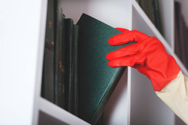 istock woman clean home 1214319669