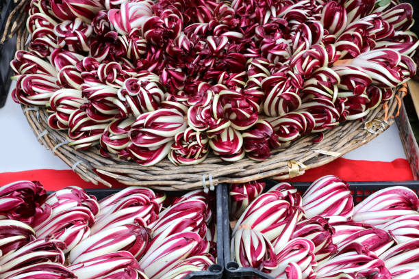 paniers pleins de radicchio rouge trévise aux fruits et légumes - radicchio photos et images de collection