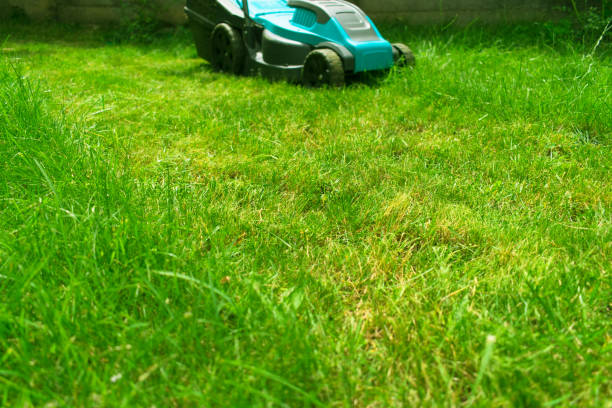 istock Lawn mower mowing  grass. Summer work in the garden. 1214325282