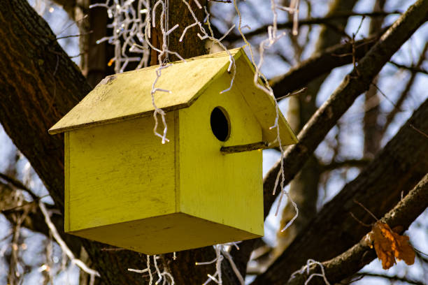 A wooden birdhouse, built with your own hands and painted with colored paint, hangs attached to a tree without leaves. stock photo