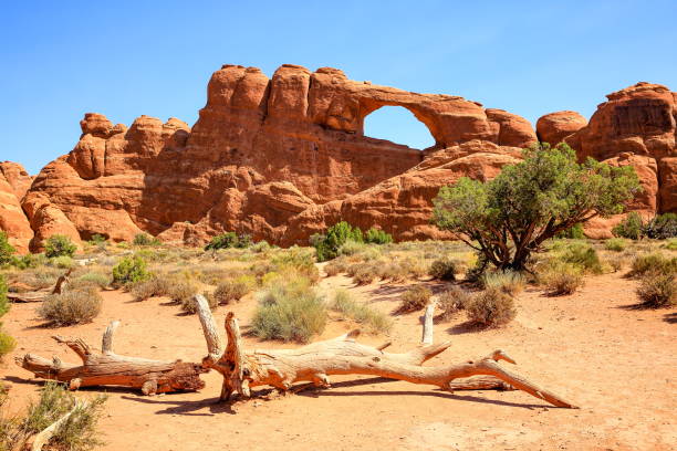 parque nacional arches en verano, utah-ee. uu. - travel famous place balanced rock beauty in nature fotografías e imágenes de stock