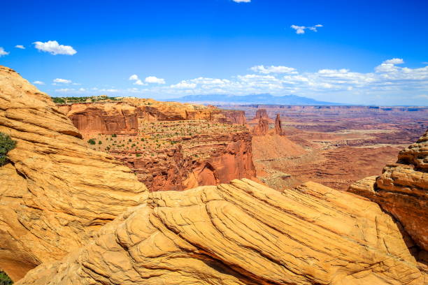 istock Canyonlands National Park in Summer, Utah-USA 1214329721