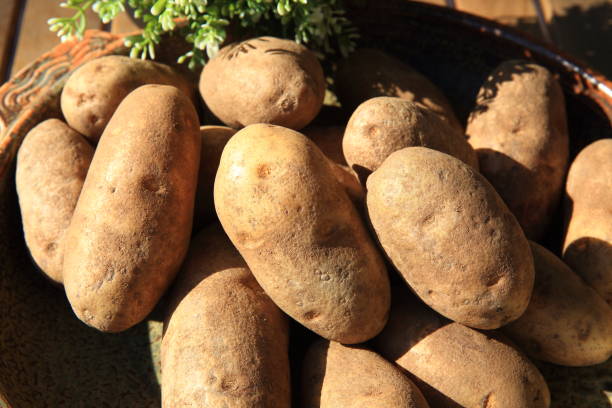 istock Fresh potatoes in a wide bowl 1214330207