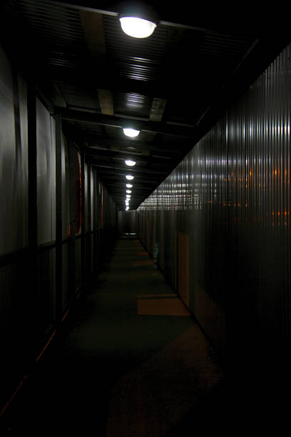 istock indoor pedestrian gallery illuminated by lamps 1214330732