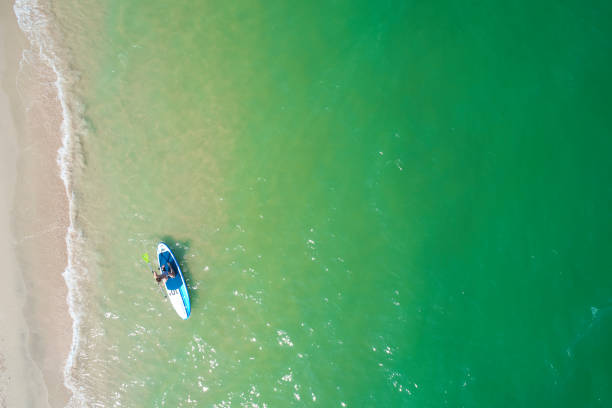 istock Young woman paddling on SUP board on the tropical beach. Active summer vacations with paddle board. 1214331479