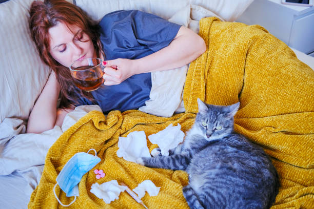 chat avec un stéthoscope se trouvant sur le lit d’une femme malade. une fille avec la grippe et un docteur d’animal familier à côté d’elle - illness domestic cat headache animal photos et images de collection