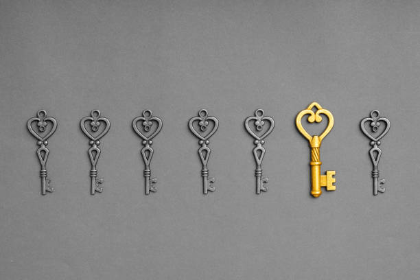 istock Metal key for online successful business concept 1214333535