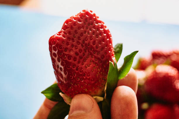 istock delicious strawberries from spain ready to eat 1214334916