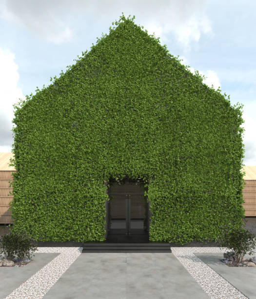 Vertical gardening facade of the house with a sloping roof. Modern green architecture. The phytowall of the building is overgrown with curly ivy. Copy space. 3D rendering. Vertical gardening facade of the house with a sloping roof. Modern green architecture. The phytowall of the building is overgrown with curly ivy. Copy space. 3D rendering store wall surrounding wall facade stock pictures, royalty-free photos & images