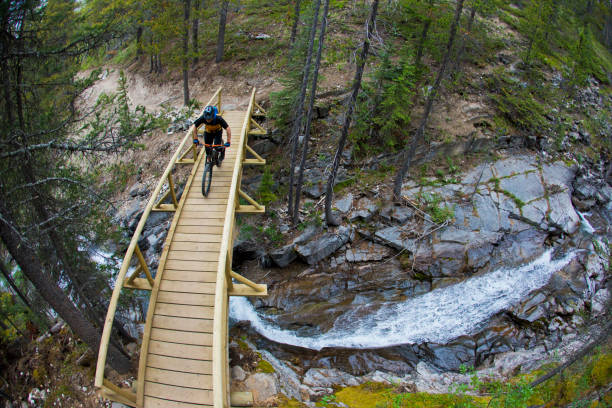 istock Mountain Bike - High Rockies Trail 1214339298