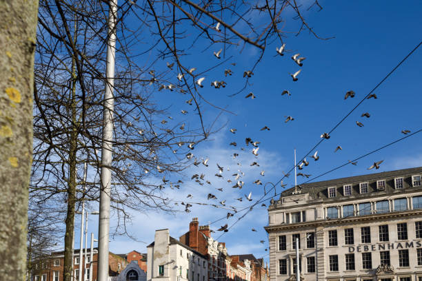 Bloomsbury, London, England- April 18, 2024: The Museum Tavern, a historic pub located directly across from the British Museum, is known for its traditional charm and rich history.