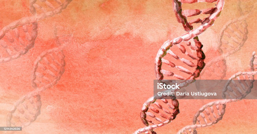 dna helix molecule, Biochemistry Concept. Hand drawn watercolor illustration with copy space DNA stock illustration