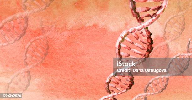 Dna Helix Molecule Biochemistry Concept Hand Drawn Watercolor Illustration With Copy Space Stock Illustration - Download Image Now