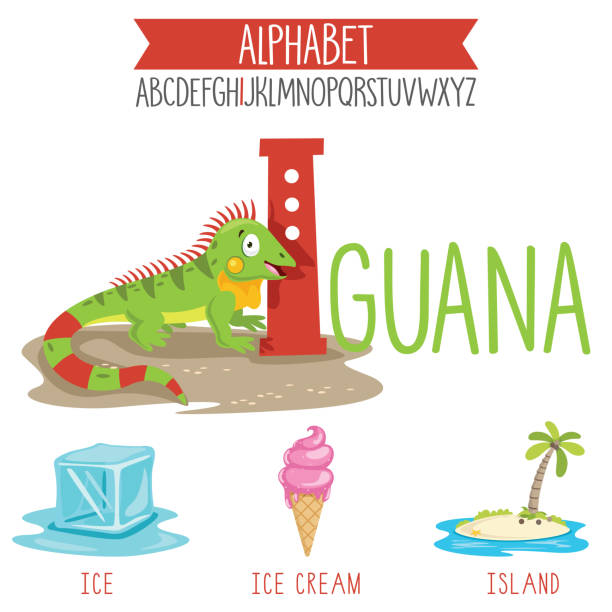 ilustrações, clipart, desenhos animados e ícones de letra ilustrada de alfabeto e objetos de desenho animado - island education learning letter i