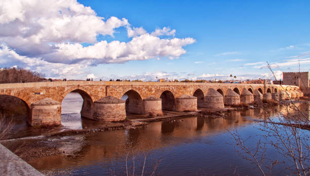 istock The Cordoba bridge 1214344061