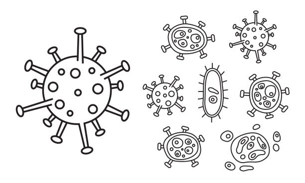 Vector Virus and bacteria doodle set. Collection of simple hand drawn illustrations. Isolated on white background. Vector Virus and bacteria doodle set. Collection of simple hand drawn illustrations. Isolated on white background. doodle stock illustrations