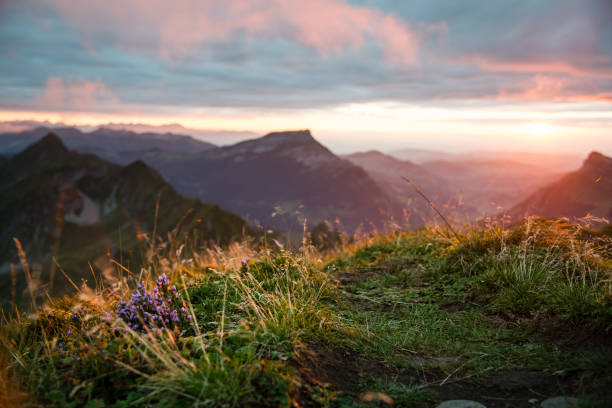 ブリエンツ・ロートホルンの夕日、西を見て、ブリエンツァーグラート、ベルナー・オーバーランド、スイスのハイキング - switzerland european alps mountain alpenglow ストックフォトと画像