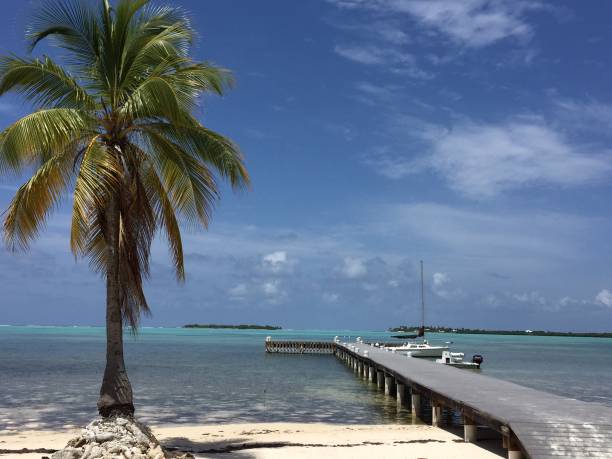 istock Dock on The Bay in Lil’ Cayman Island 1214346351