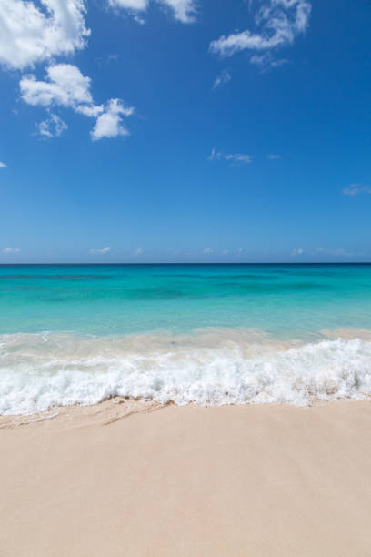 istock A Beach on the Island of Barbados 1214346663
