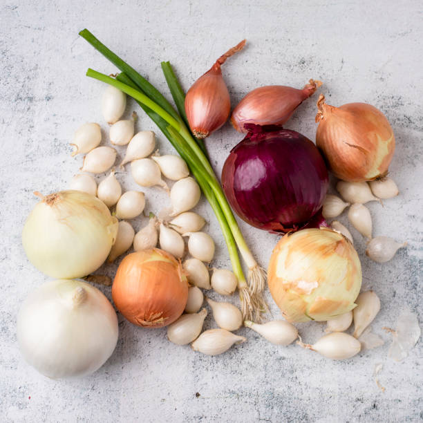 istock Varieties of Onion Grouped Together on Cement Countertop 1214348495