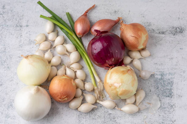 istock Varieties of Onion Grouped Together on Cement Countertop 1214348496