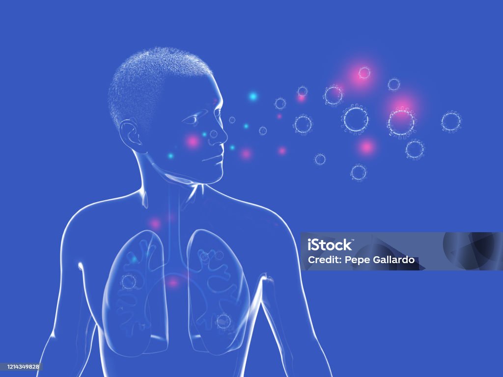 3D illustration of Anatomy of the human respiratory system and the viruses and bacteria that can enter it. Graphic representation of the lungs, trachea and ENT on a dark blue background. Respiratory Disease Stock Photo
